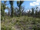 Lot 31 Deepwater Road, Deepwater QLD 4674