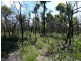 Lot 31 Deepwater Road, Deepwater QLD 4674