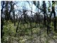 Lot 31 Deepwater Road, Deepwater QLD 4674