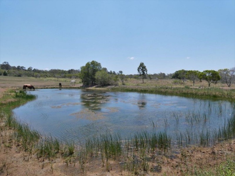 1285 Hills Road, Euleilah QLD 4674