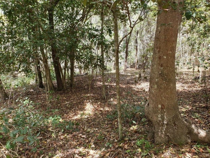 1285 Hills Road, Euleilah QLD 4674