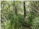 1285 Hills Road, Euleilah QLD 4674