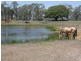 1285 Hills Road, Euleilah QLD 4674