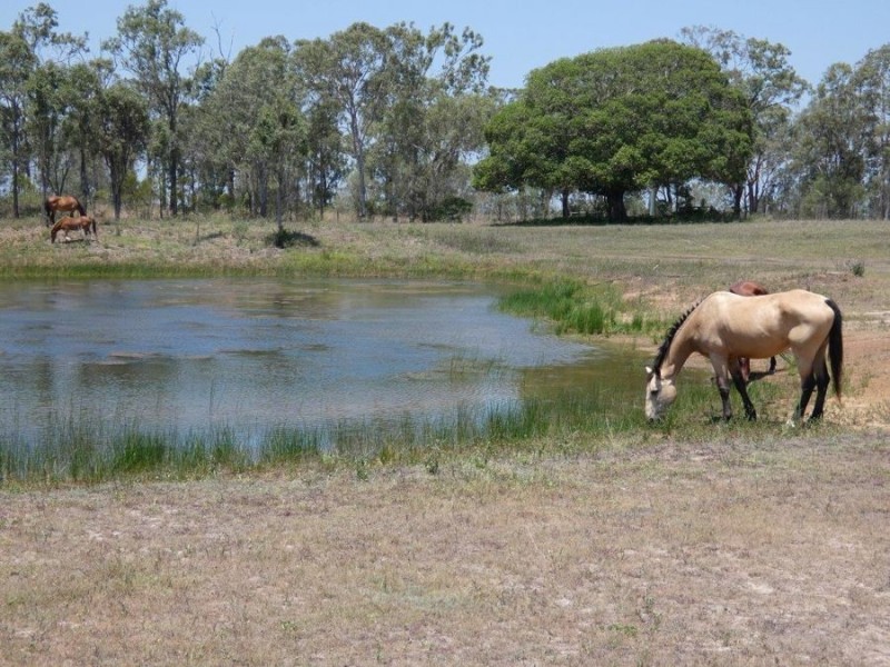 1285 Hills Road, Euleilah QLD 4674