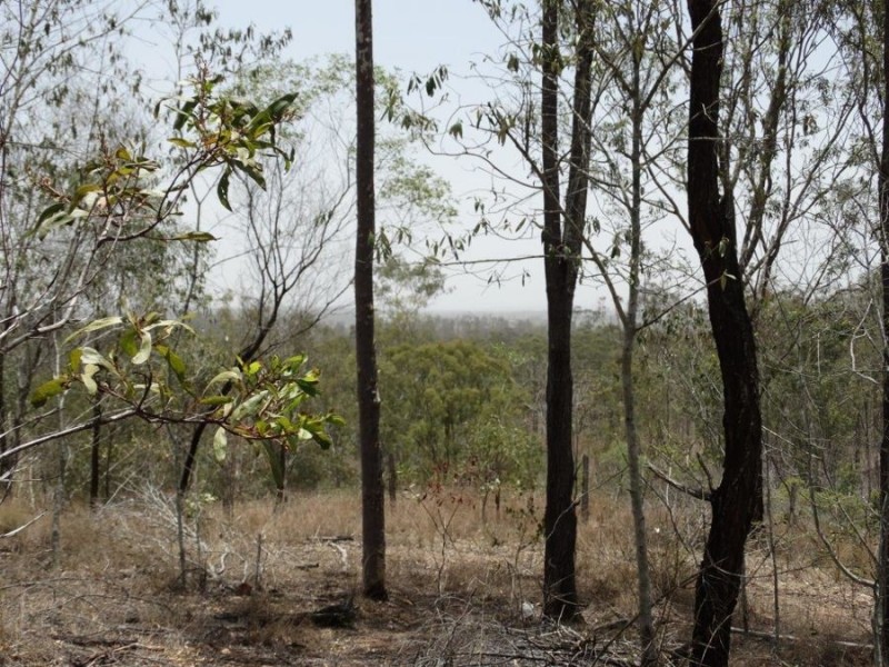 Lot 4 Monduran Road, Monduran QLD 4671