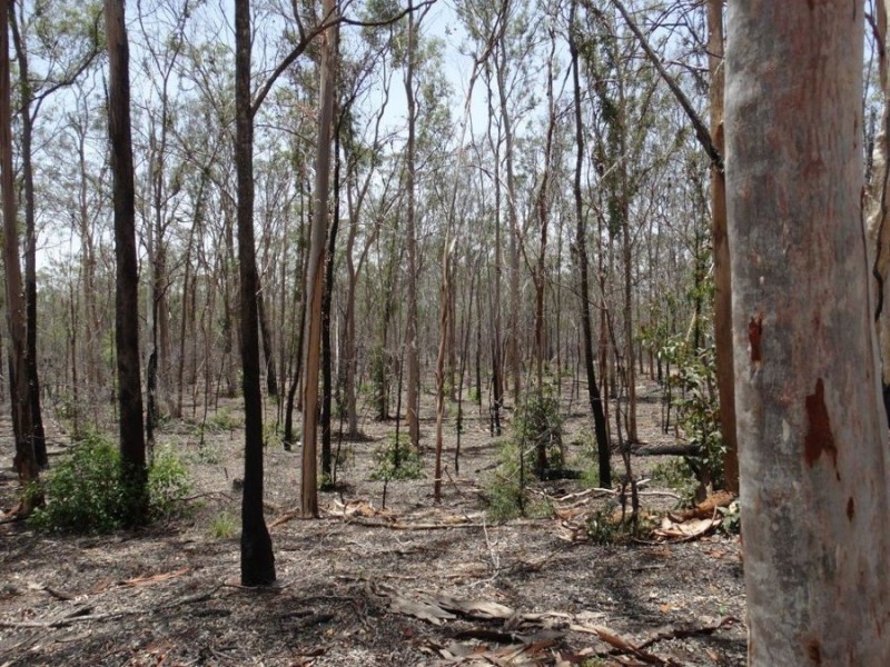 Lot 4 Monduran Road, Monduran QLD 4671