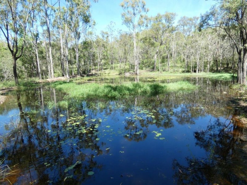 1019 Tableland Road, Mount Maria QLD 4674