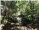 1019 Tableland Road, Mount Maria QLD 4674