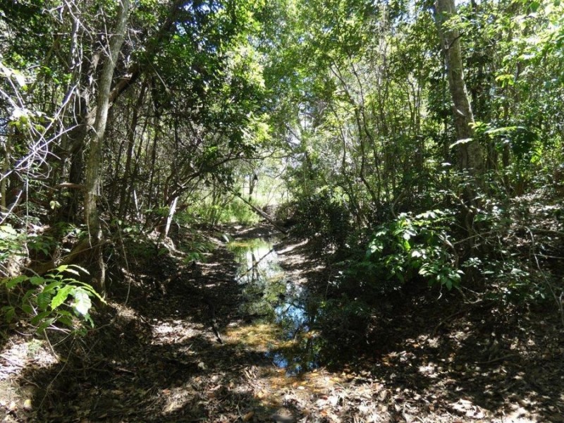 1019 Tableland Road, Mount Maria QLD 4674