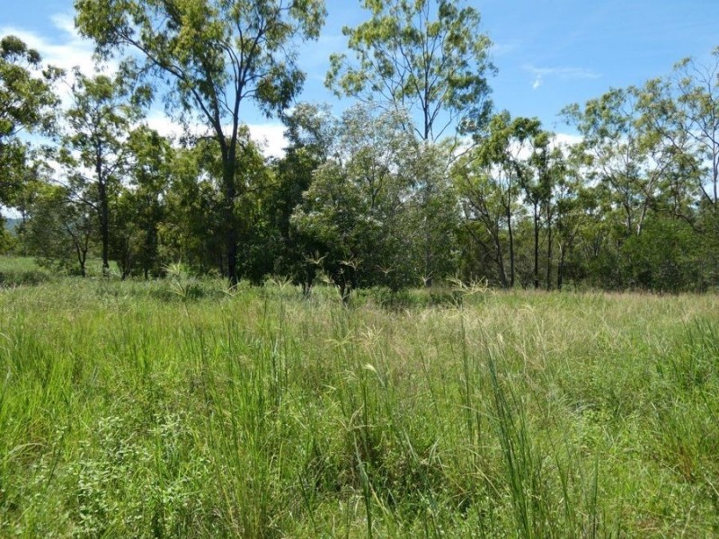1019 Tableland Road, Mount Maria QLD 4674