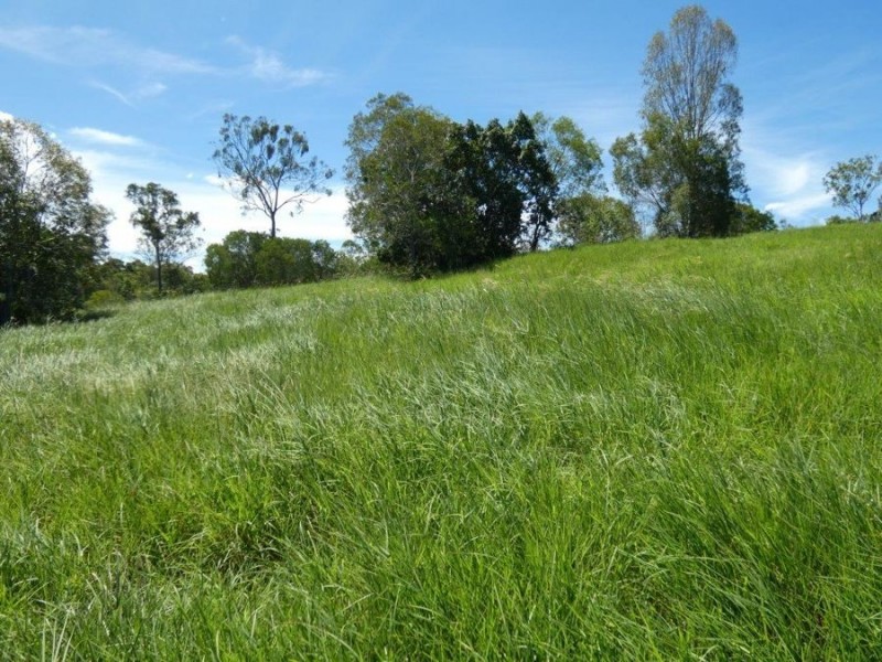 1019 Tableland Road, Mount Maria QLD 4674