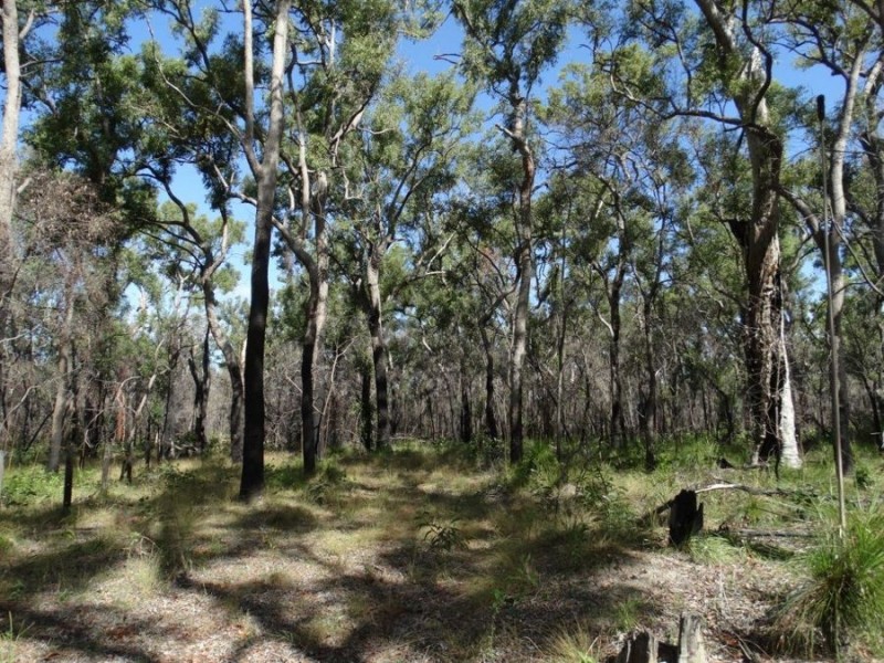 83 Deepwater Road, Deepwater QLD 4674