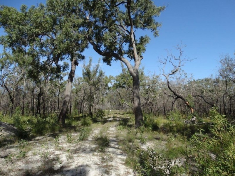 83 Deepwater Road, Deepwater QLD 4674