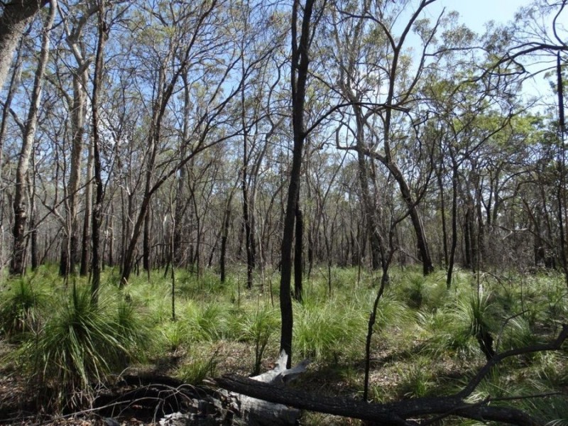 83 Deepwater Road, Deepwater QLD 4674