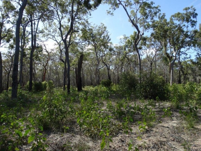 83 Deepwater Road, Deepwater QLD 4674