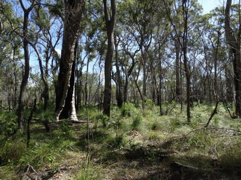 83 Deepwater Road, Deepwater QLD 4674