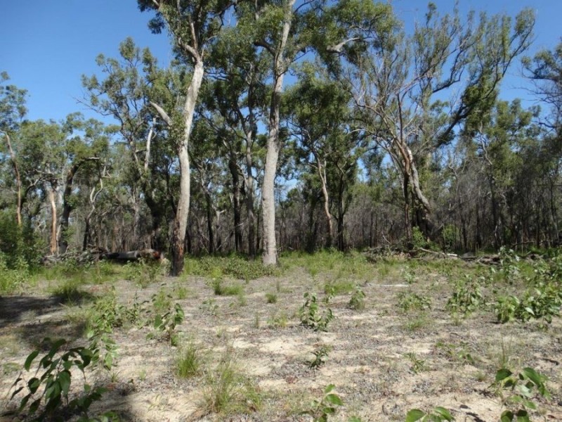 83 Deepwater Road, Deepwater QLD 4674