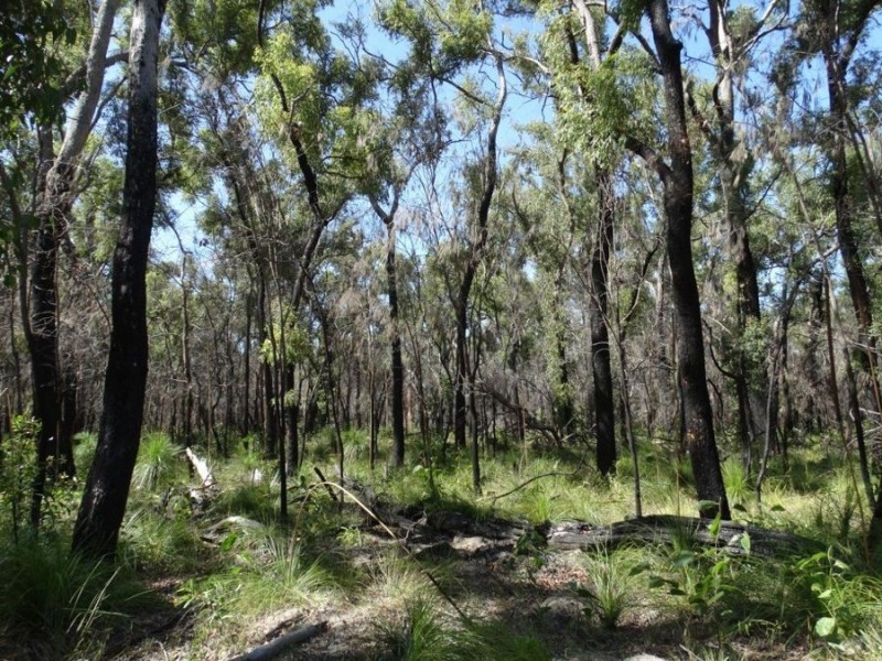 83 Deepwater Road, Deepwater QLD 4674