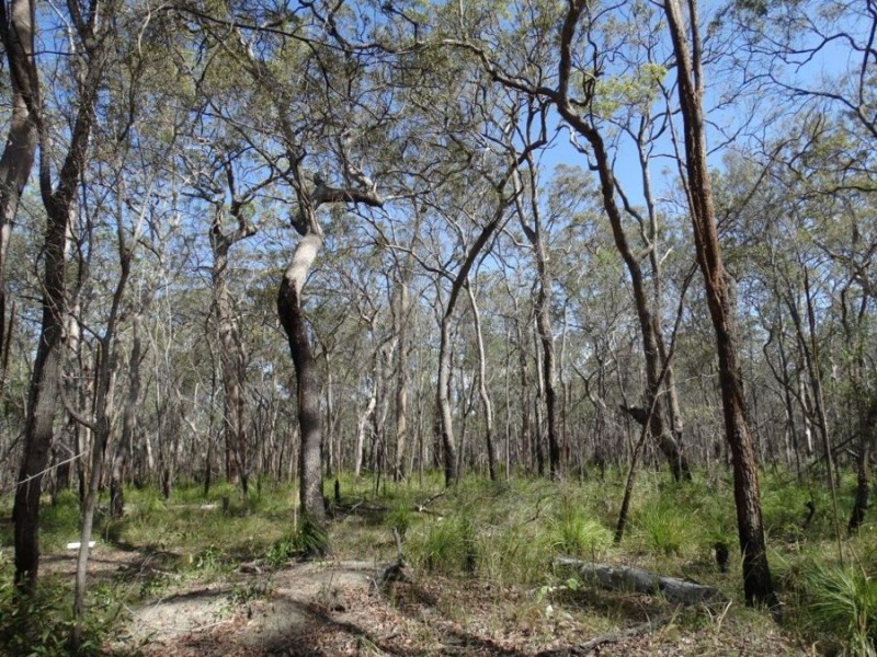 83 Deepwater Road, Deepwater QLD 4674