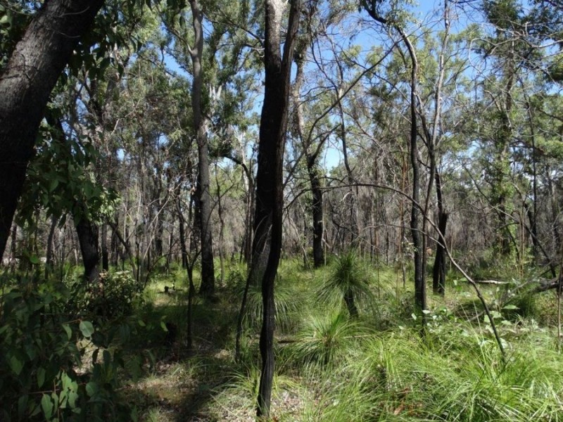 83 Deepwater Road, Deepwater QLD 4674