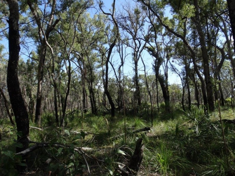 83 Deepwater Road, Deepwater QLD 4674