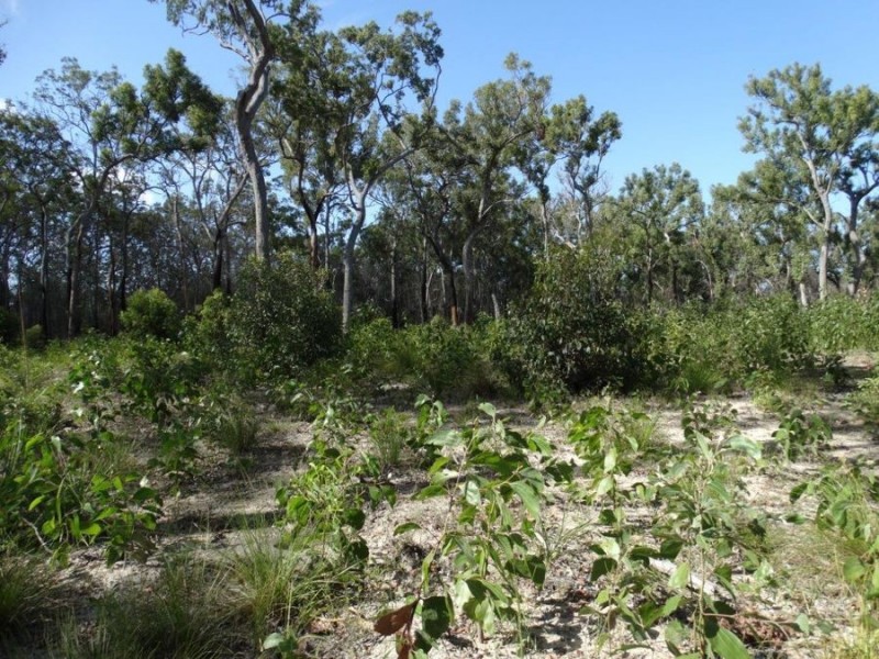 83 Deepwater Road, Deepwater QLD 4674