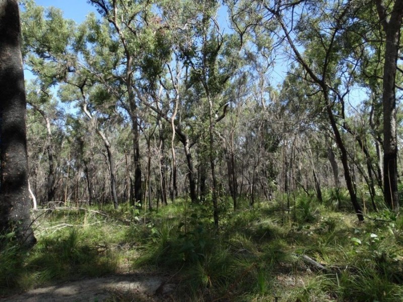 83 Deepwater Road, Deepwater QLD 4674