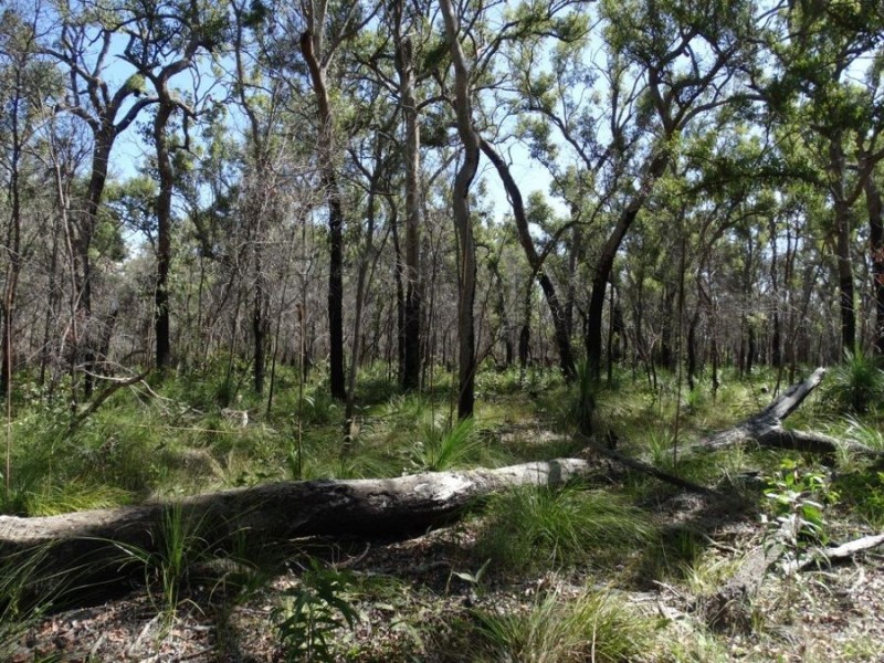 83 Deepwater Road, Deepwater QLD 4674