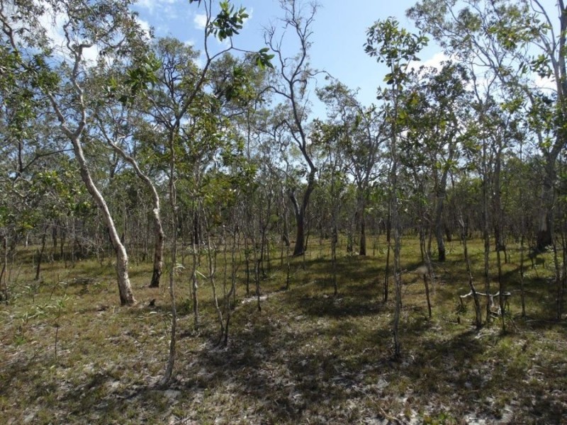 83 Deepwater Road, Deepwater QLD 4674