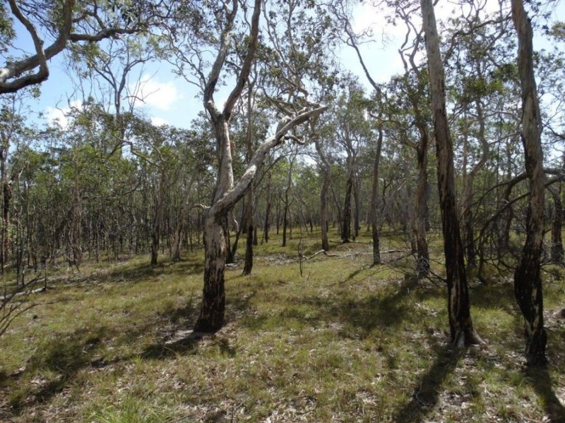 83 Deepwater Road, Deepwater QLD 4674