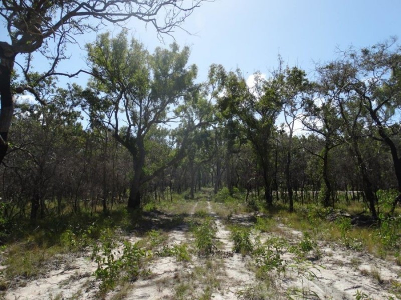 83 Deepwater Road, Deepwater QLD 4674