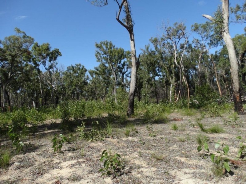 83 Deepwater Road, Deepwater QLD 4674