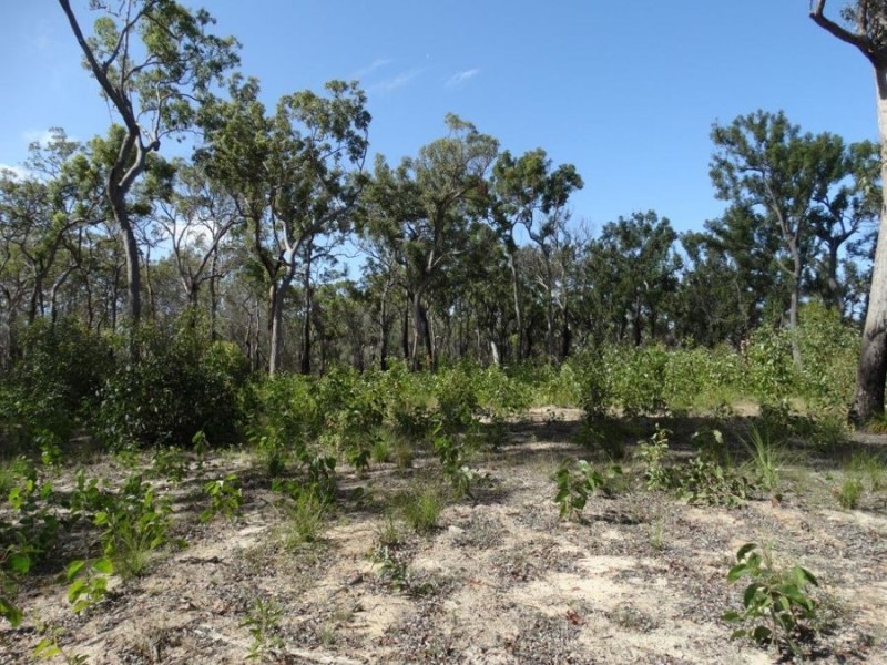 83 Deepwater Road, Deepwater QLD 4674