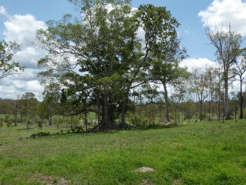 404 Mount Bucca Road, Abbotsford QLD 4670