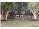 704 Fingerfield Road, Deepwater QLD 4674