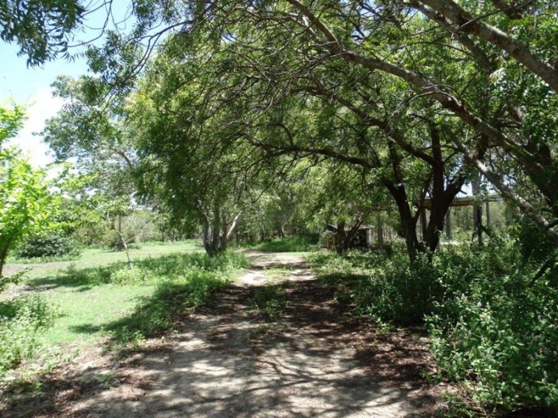 650 Fernfield Road, Deepwater QLD 4674