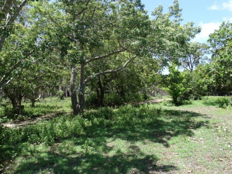 650 Fernfield Road, Deepwater QLD 4674