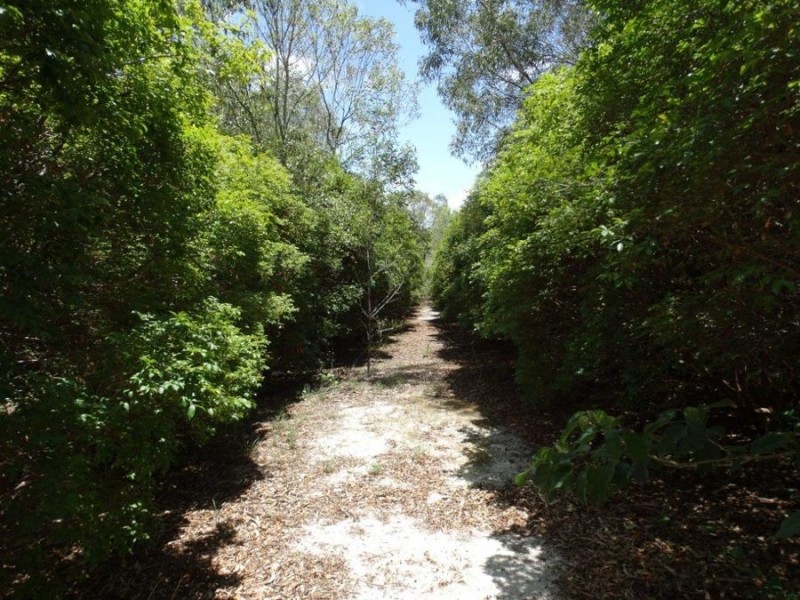 650 Fernfield Road, Deepwater QLD 4674