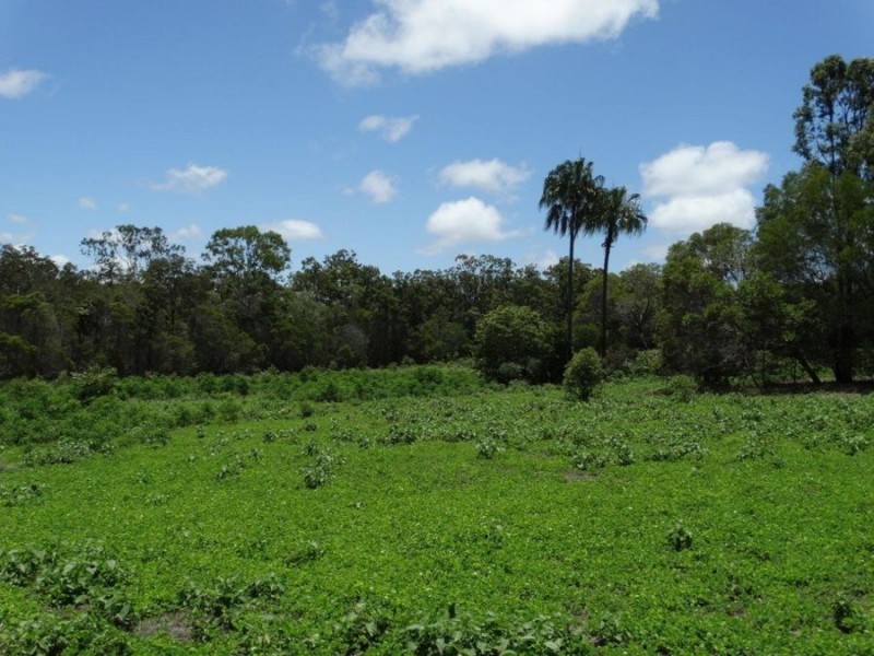 650 Fernfield Road, Deepwater QLD 4674