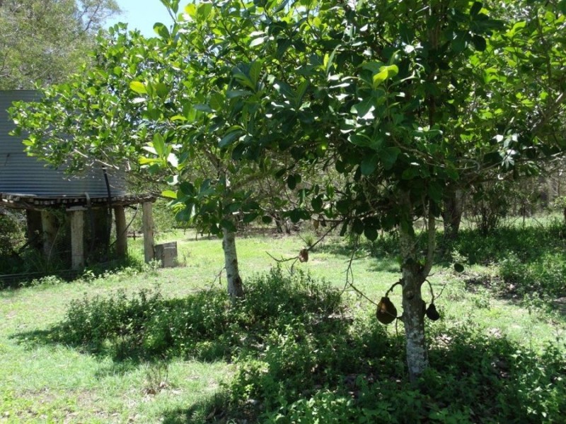 650 Fernfield Road, Deepwater QLD 4674