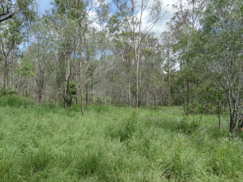 134 Diamond Hill Road, Rosedale QLD 4674