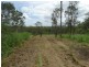 134 Diamond Hill Road, Rosedale QLD 4674