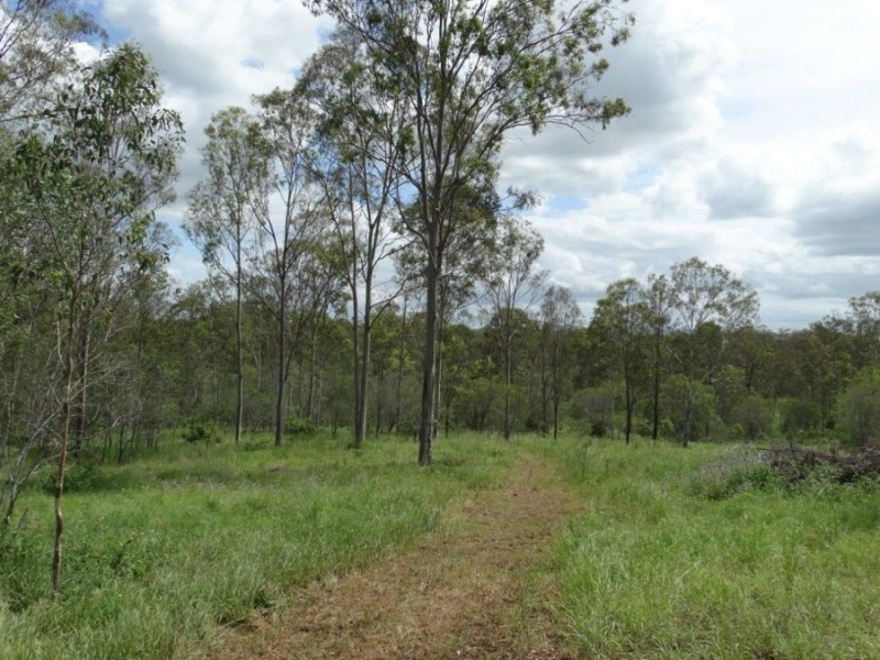 134 Diamond Hill Road, Rosedale QLD 4674
