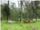 134 Diamond Hill Road, Rosedale QLD 4674
