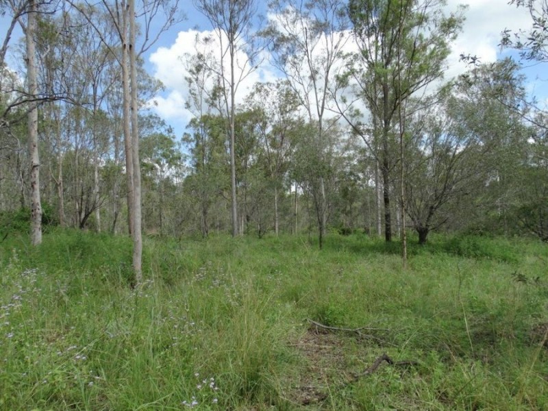 134 Diamond Hill Road, Rosedale QLD 4674