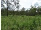 134 Diamond Hill Road, Rosedale QLD 4674