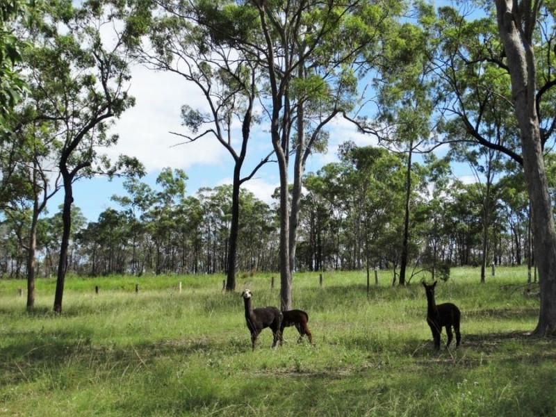 1341 Tableland Road, Mount Maria QLD 4674