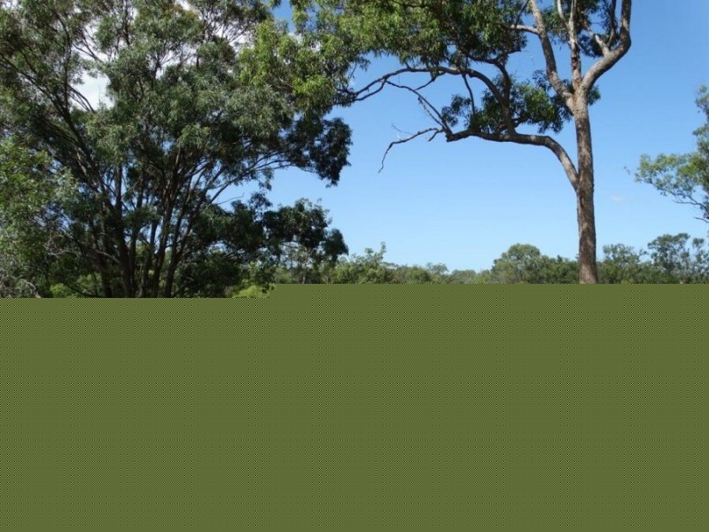 1341 Tableland Road, Mount Maria QLD 4674