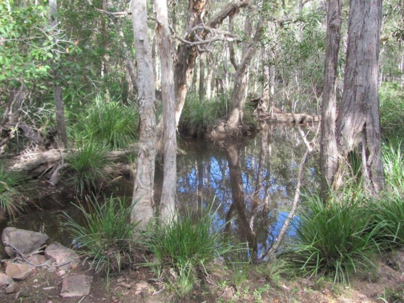 1341 Tableland Road, Mount Maria QLD 4674