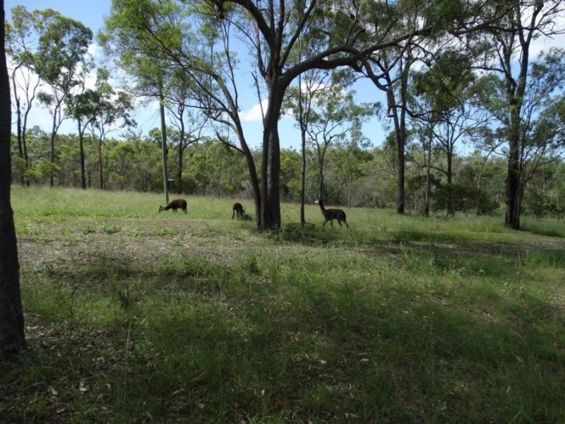 1341 Tableland Road, Mount Maria QLD 4674